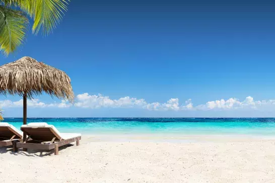 A sandy beach with palm trees and blue water. There are two beach chairs and an umbrella.