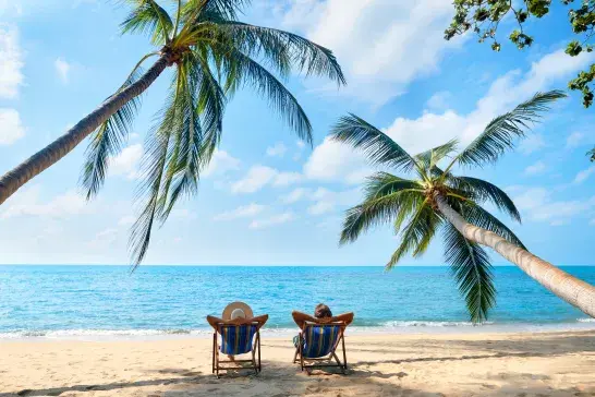 Two people relaxing on beach chairs under leaning palm trees by a calm ocean on a sunny day.