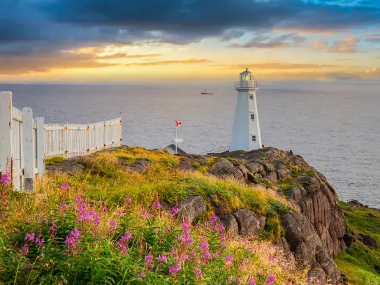 White lighthouse on a rocky cliff with pink flowers in the foreground, overlooking the ocean at sunset or sunrise.